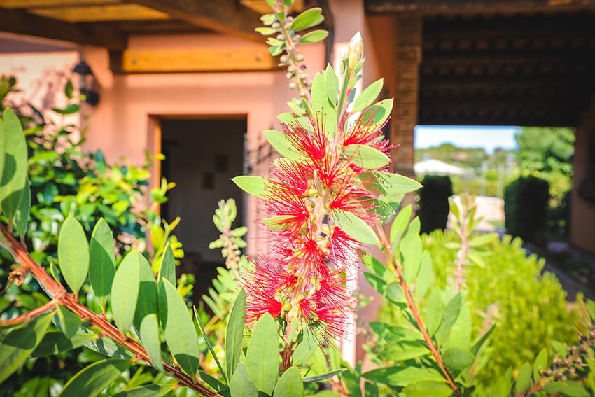 valle-del-metauro-country-house-appartamento-Primula-6